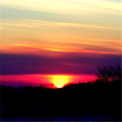 乐发lv彩票app下载安装