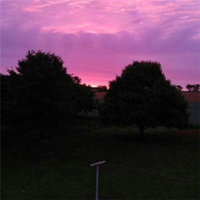 梭哈游戏下载下载手机版